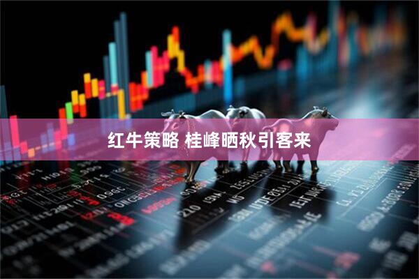 红牛策略 桂峰晒秋引客来