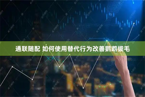 通联随配 如何使用替代行为改善鹦鹉拔毛