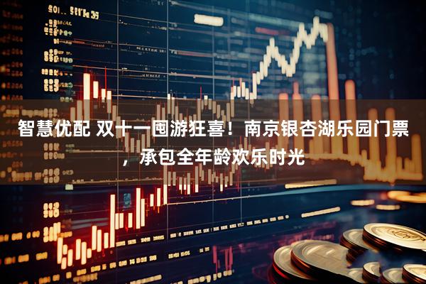 智慧优配 双十一囤游狂喜！南京银杏湖乐园门票，承包全年龄欢乐时光