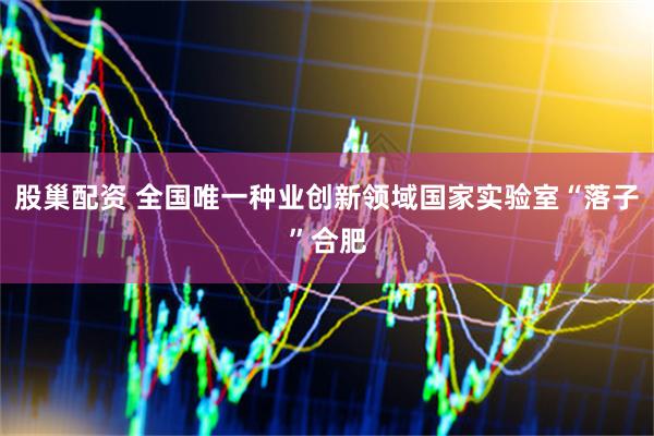 股巢配资 全国唯一种业创新领域国家实验室“落子”合肥