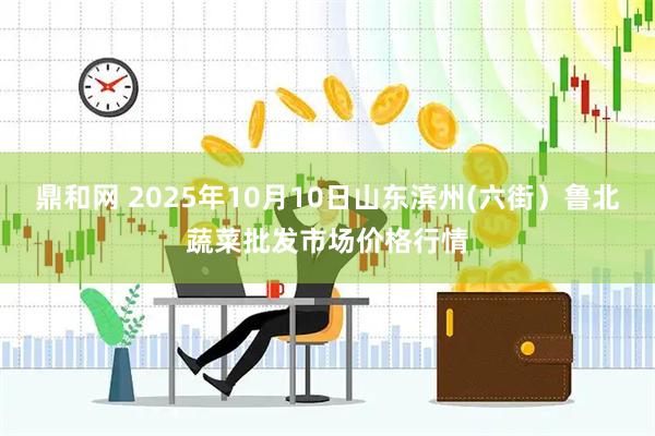 鼎和网 2025年10月10日山东滨州(六街）鲁北蔬菜批发市场价格行情
