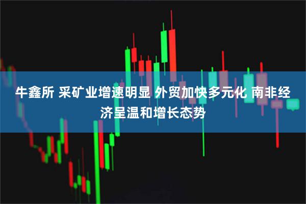 牛鑫所 采矿业增速明显 外贸加快多元化 南非经济呈温和增长态势