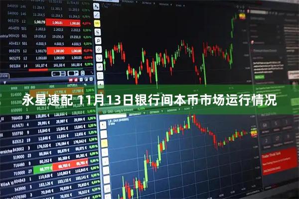 永星速配 11月13日银行间本币市场运行情况