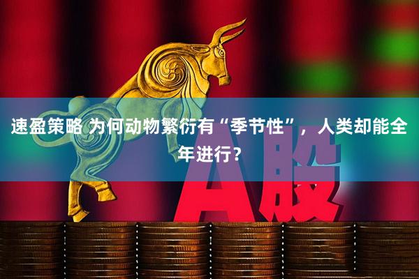 速盈策略 为何动物繁衍有“季节性”，人类却能全年进行？