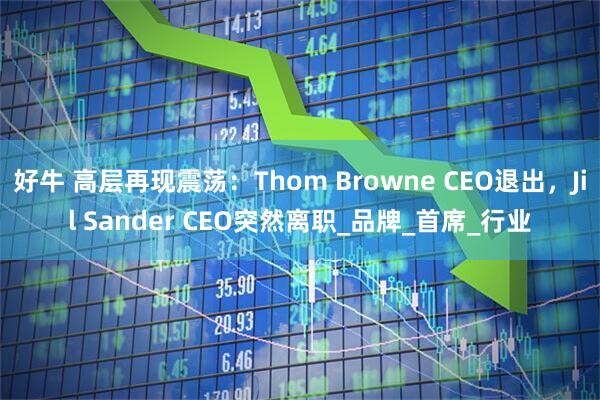 好牛 高层再现震荡：Thom Browne CEO退出，Jil Sander CEO突然离职_品牌_首席_行业